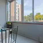 Apartman Biscay Bay With Balconies Ferrara